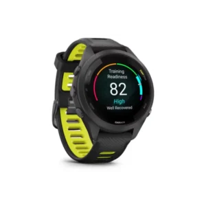 Garmin 010-02810-13