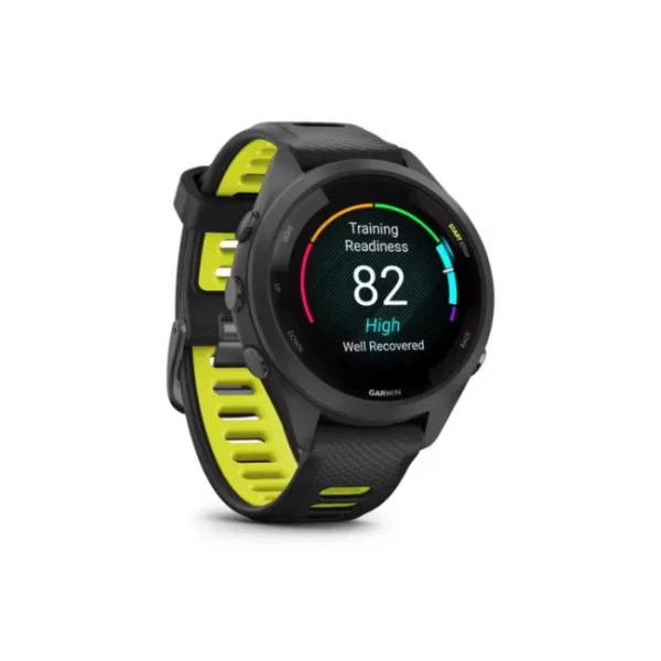 Garmin 010-02810-13