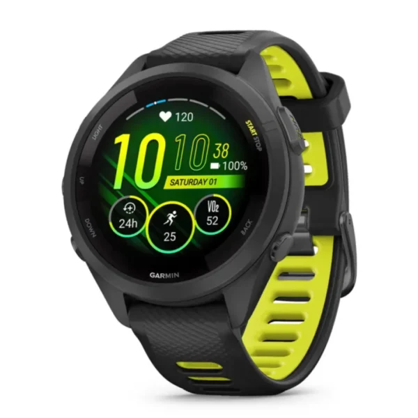 Garmin 010-02810-13