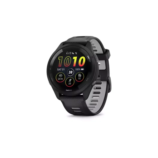 GARMIN 010-02810-10