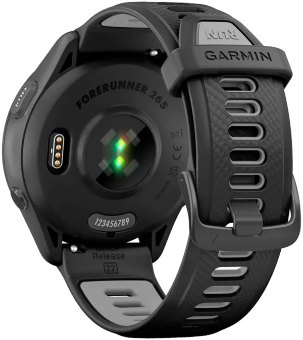 GARMIN 010-02810-10