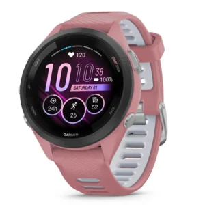 GARMIN 010-02810-15